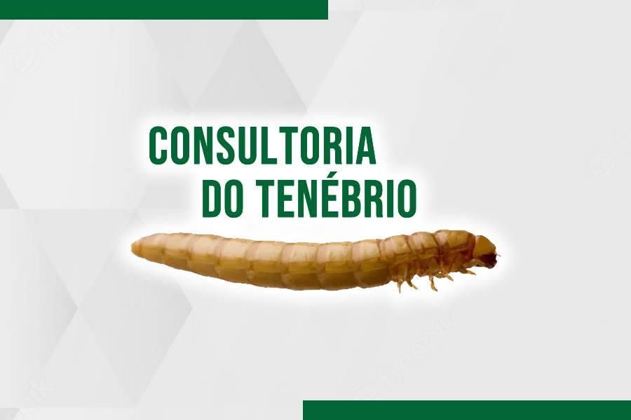 Leia mais sobre o artigo Consultoria do Tenébrio: dicas para iniciantes e veteranos